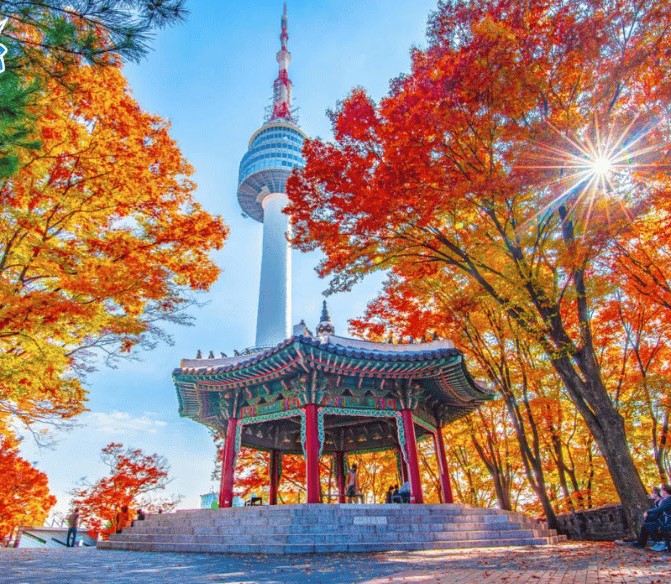 Tour Hàn Quốc mùa thu: Hà Nội - Seoul - Nami - Everland - Hái Lê/Táo